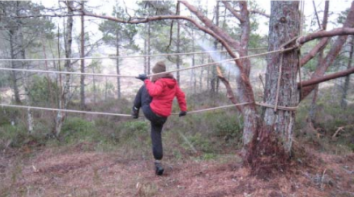 Trimpark: Naturhelsestudio15