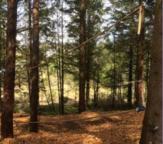 Trimpark: Klatrepark5