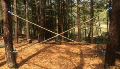 Trimpark: Klatrepark6