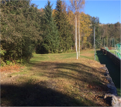 Trimpark: Tursti1